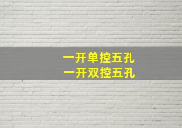 一开单控五孔 一开双控五孔